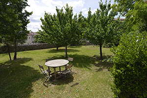 Gîte Mas Elise D - Swimming pool and garden