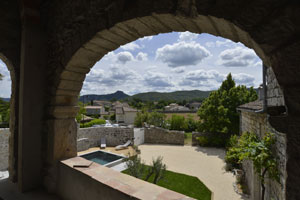 Gîte Mas Elise D - Swimming pool and garden